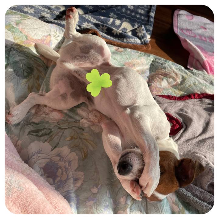 Baa0f8ca 07a6 469d ab31 c65b6f1e2cf1 1649371935490