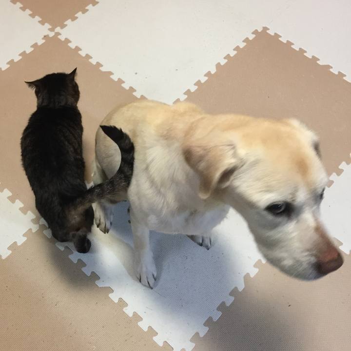 Baa100e2 5800 4ee7 8f9b c7d3e9f28324 1548673117267