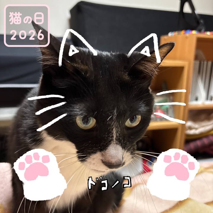 Baa18393 2fbc 41ab 9c22 07552ff24dd4 1771686076318