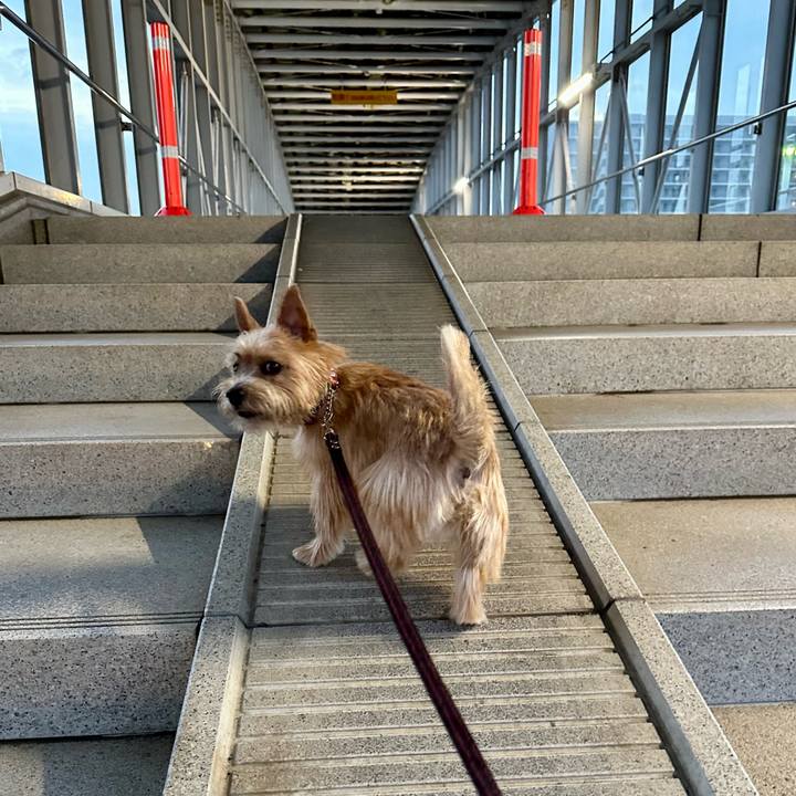 Baa1ad82 1186 487f 9db7 d0dfd618bc04 1729931734038