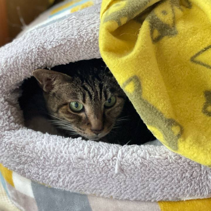 Baa1d080 de9d 40a5 9575 22e76ce45823 1618784106671