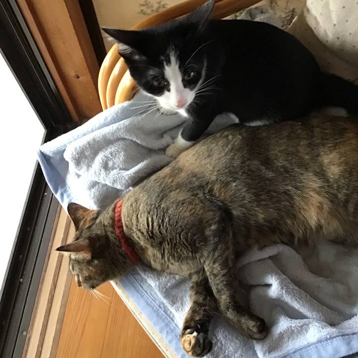 Baa1d407 6212 4f39 bbbd 5133199e0ee8 1629881715929