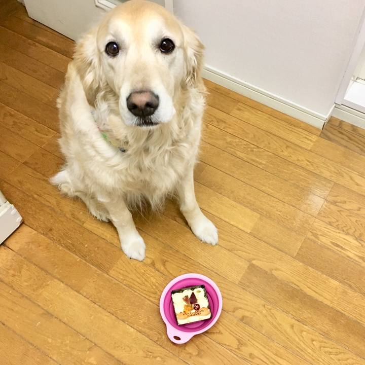 Baa2005d 732f 4f18 bc2b 75a662e14ddb 1521769874461