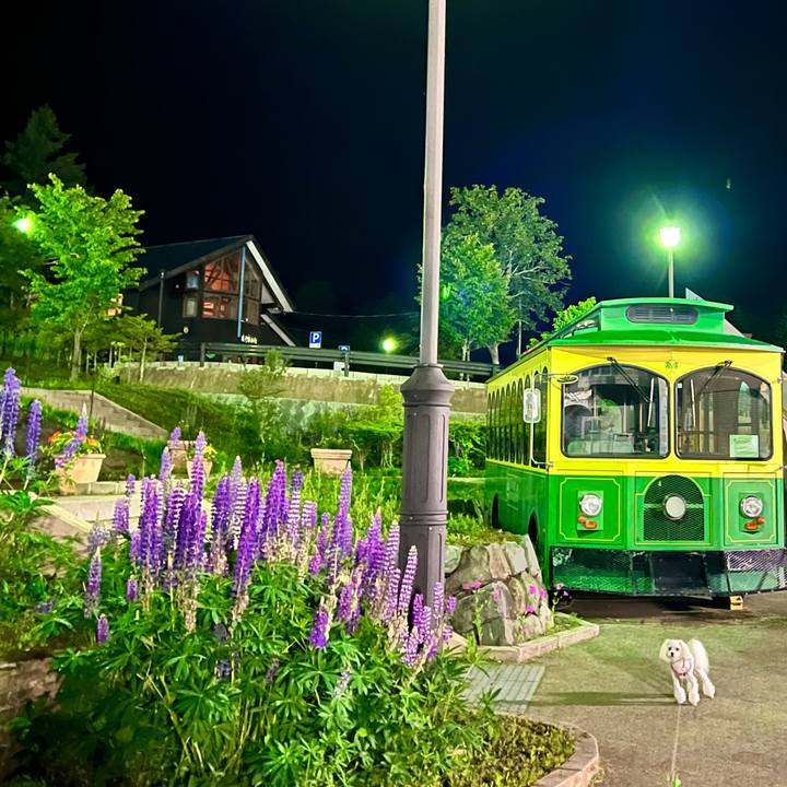 Baa21321 6aa3 4fdf b889 2a1b3c68bea7 1665114227233