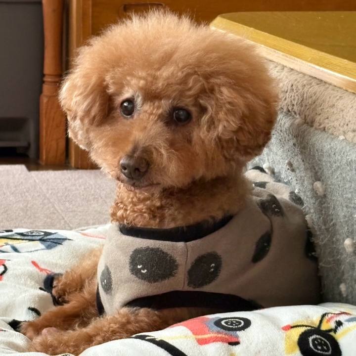 Baa21bab e524 44da b962 9636cf9222d9 1773446600144