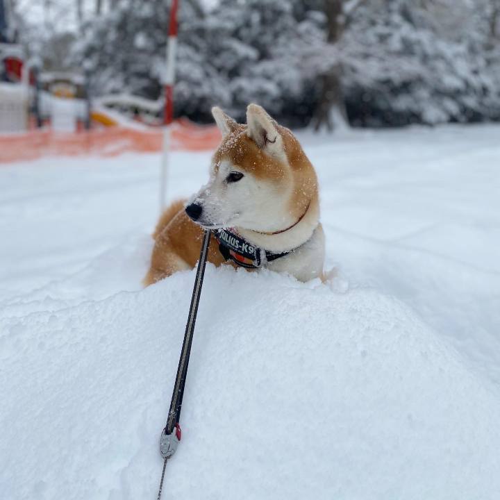 Baa2254a 0f20 4b47 b419 7f34f262ad3c 1673311554878