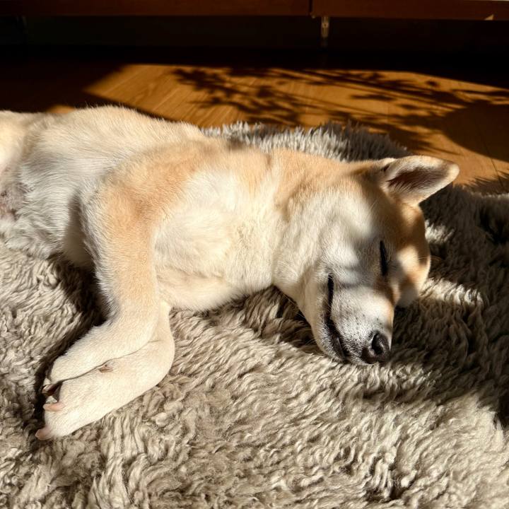 Baa2406f 2c7f 41ad 9330 3bcab608e245 1769825164124