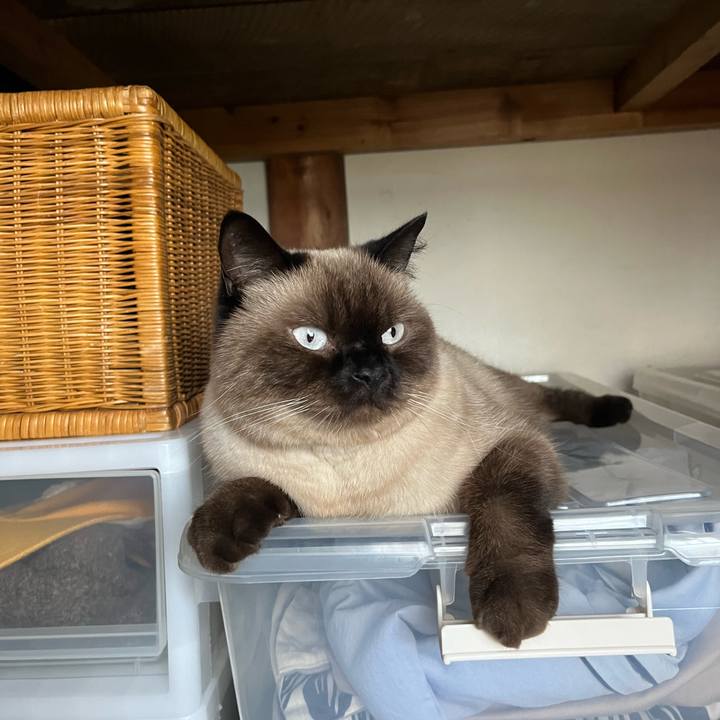 Baa2457c dfdf 420e aa2d a129b62c1860 1665490982641