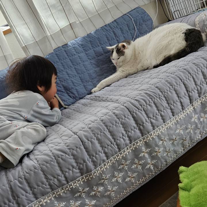 Baa24efd 2b68 4f25 97f0 30acc2493afa 1709993941362