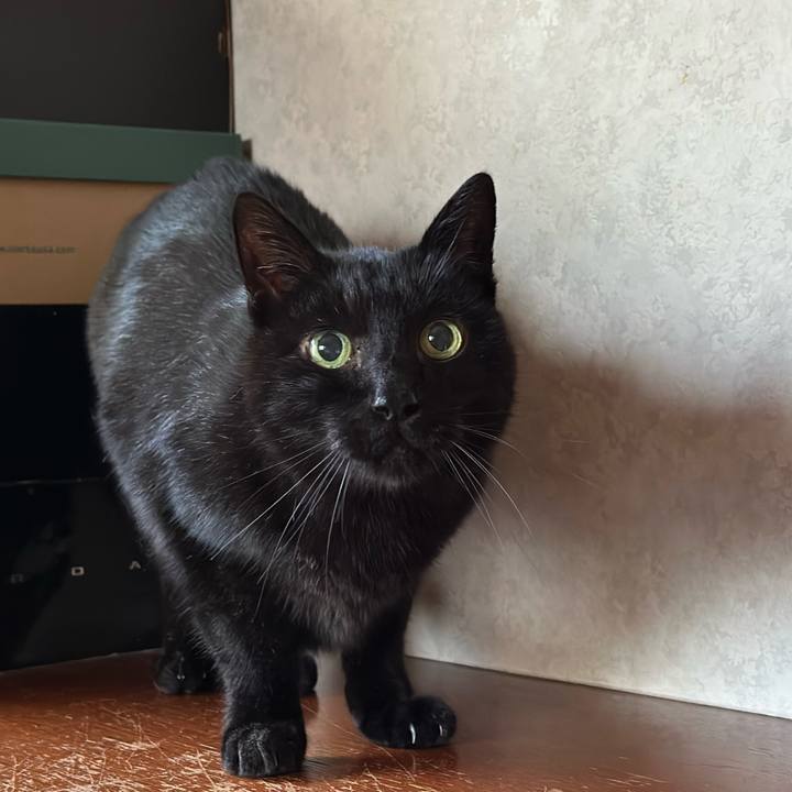 Baa257cf 3b23 4fdb b204 3ff90081c0c7 1675304637363