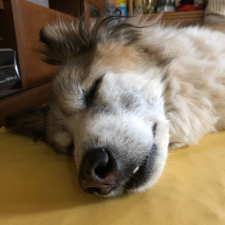 Baa26d88 a161 4b30 bb36 bf5f5cc3b546 1548826943322