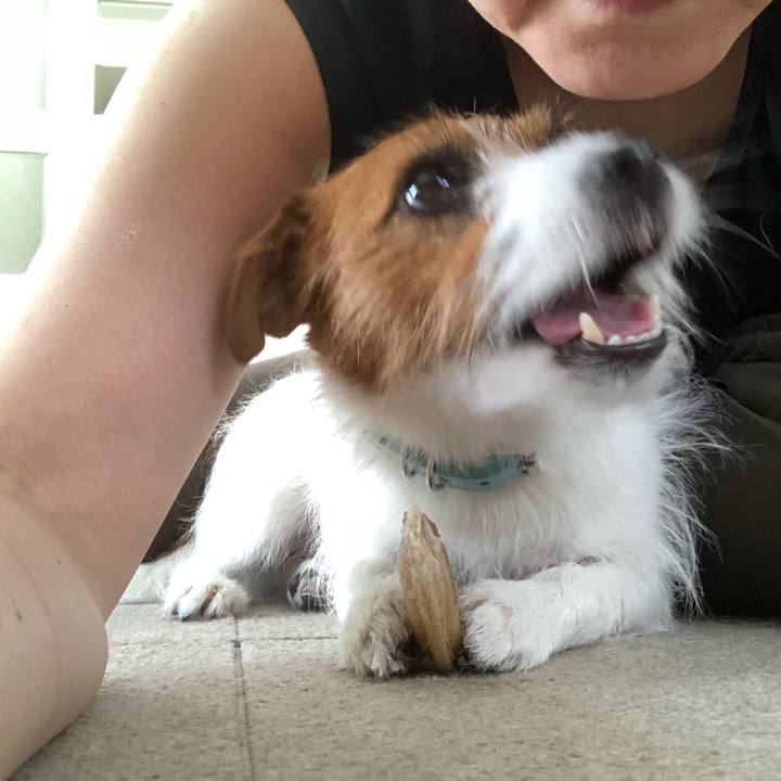 Baa2aad0 0819 4d59 b511 da0151ef3bbd 1531543825616