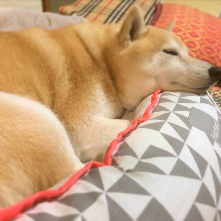 Baa2ee09 6ccc 4c31 b853 652c7c7112a0 1526483732149