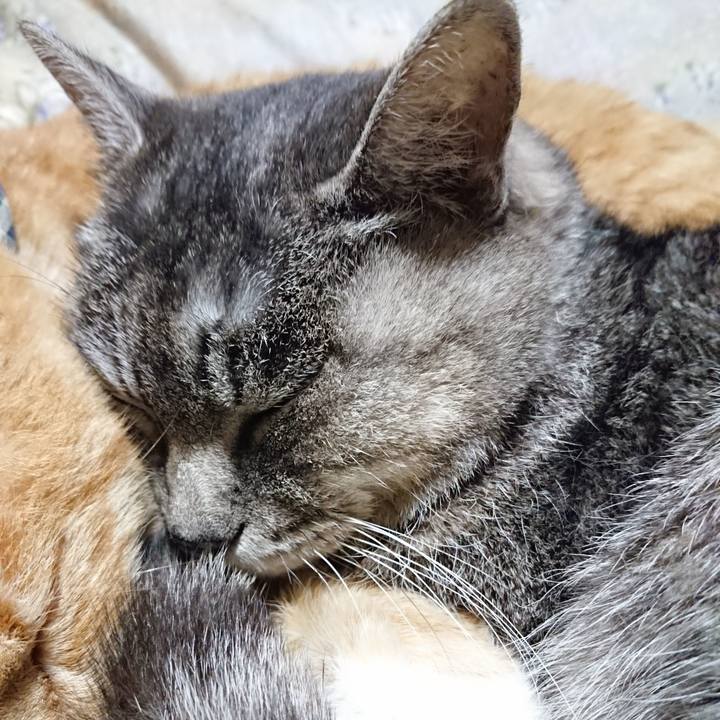 Baa3047c 5054 4ed0 b06d 3685fae80785 1575206679012