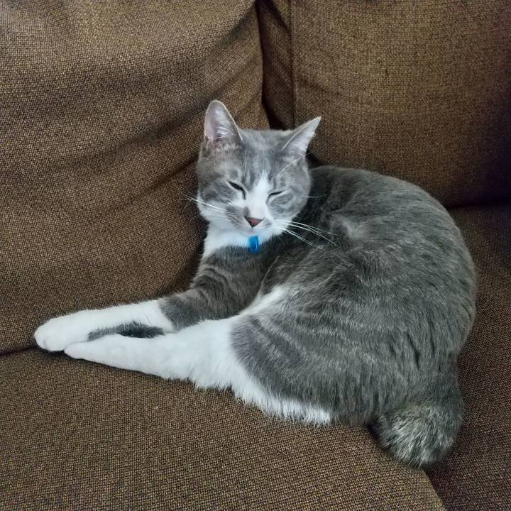 Baa30ba9 544c 49eb 9eb5 3623b38cb8a2 1612920489154