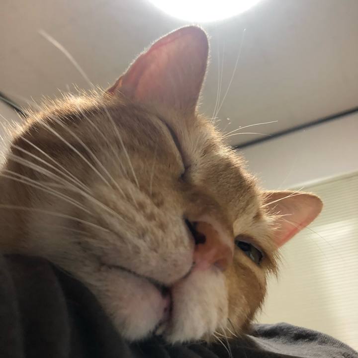 Baa31532 b876 4a18 a435 7b3cb062c837 1649599681711