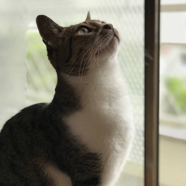 Baa32960 3f7f 4bc1 941c 9864c7277426 1525398308852