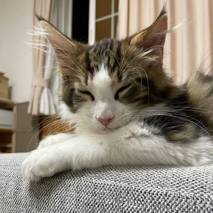 Baa32ca6 45a2 400c 9303 cb3c75d227c5 1632918070352