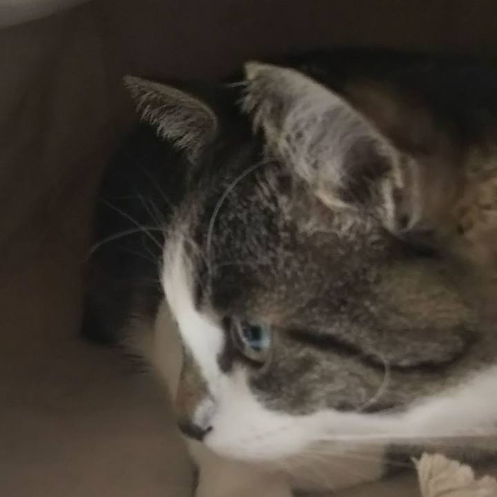 Baa37da1 e4ec 4e42 9043 88de22d34cf8 1614262672876