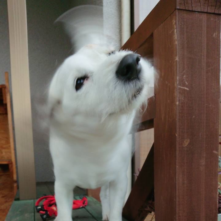 Baa381dd 1001 45d6 b7f8 72d974d10ad1 1538610752426