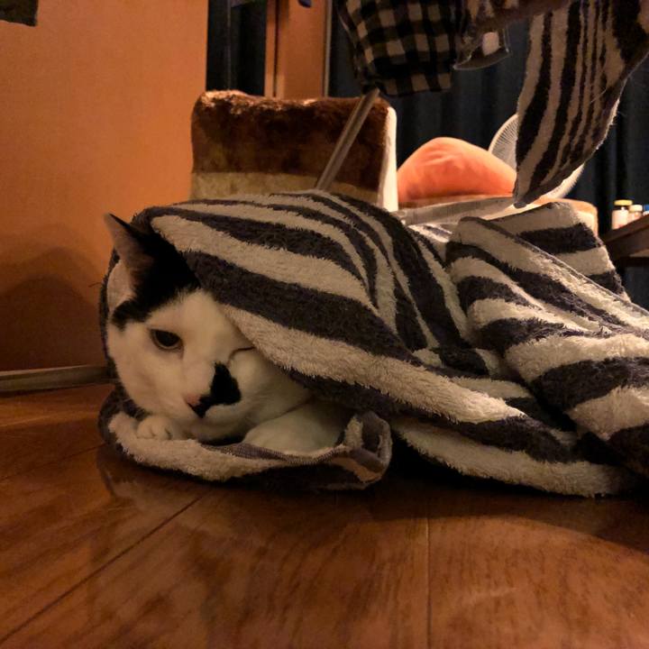 Baa3bd5b a53a 4c79 a6cf ff5dc746e577 1537597007027