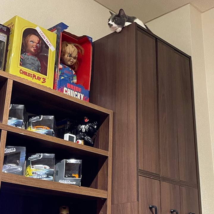 Baa3cac5 038f 4557 a719 08881847d66c 1663838161903