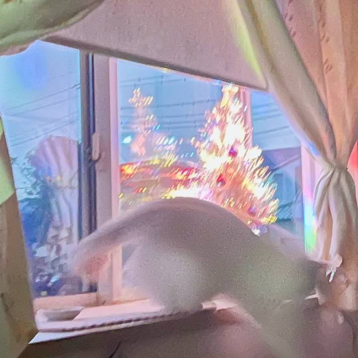 Baa3fc1c dac1 4778 913d fcbc8388b990 1703186851551