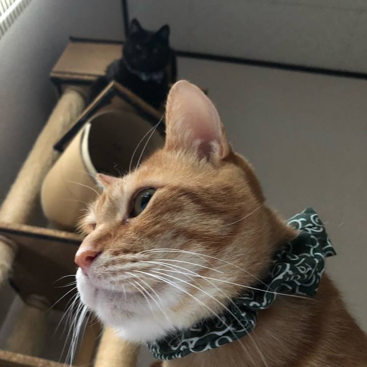 Baa4044b e278 4daa a6df 6c1e866138bd 1578696734586