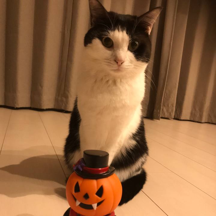 Baa41beb 8dc0 41b9 915d 9f242f812908 1572527752581