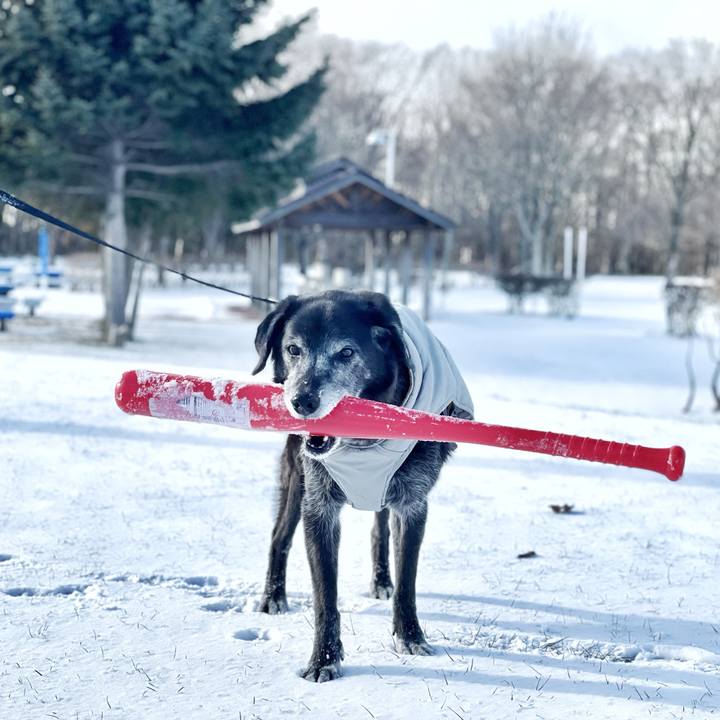 Baa420cf 95a8 45e0 95c2 35b9be909d9c 1766830143661