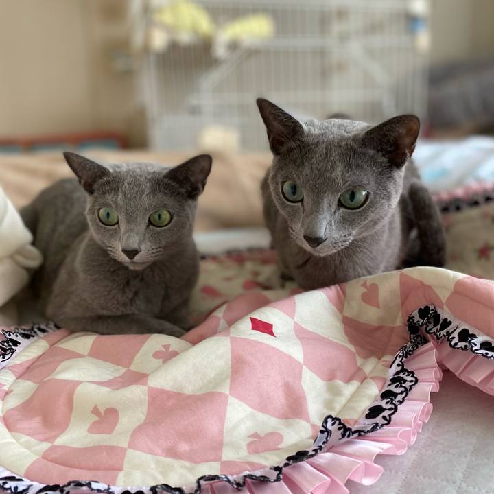 Baa42c8f 9a6f 46f5 b83b ba48b8e8124d 1693023641328