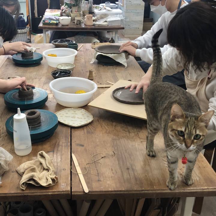 Baa438c4 0ae2 4e60 8908 ccd82220b380 1647761783786