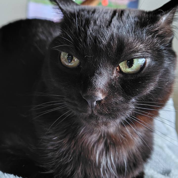 Baa43907 c0e9 476e a899 80df7215d96d 1741905270511