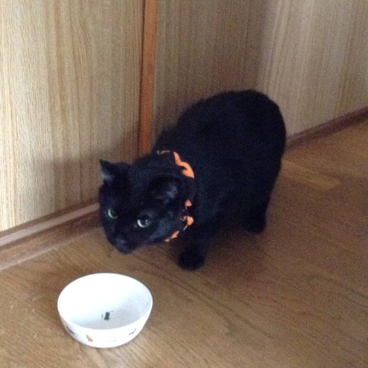 Baa4572b d891 4f48 9de9 69e264160fd1 1538287644393