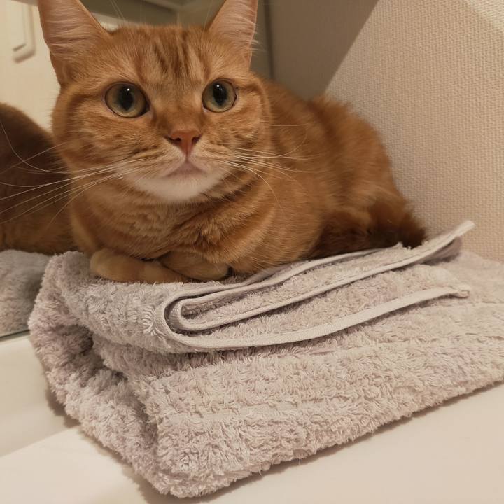 Baa46125 3303 46ff 861c f9bd7567d9d4 1601379311467