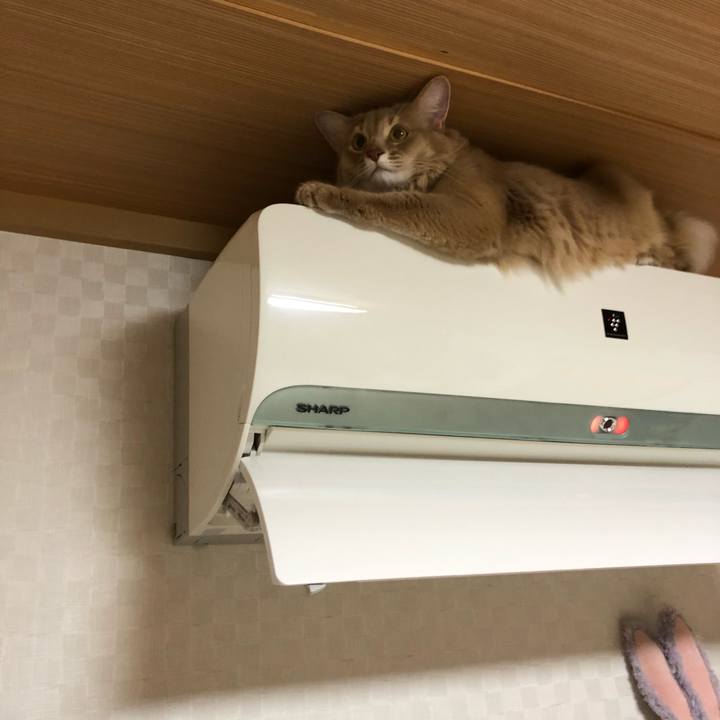 Baa47731 29a1 41c7 8baf 3ce7552edc40 1576395637761