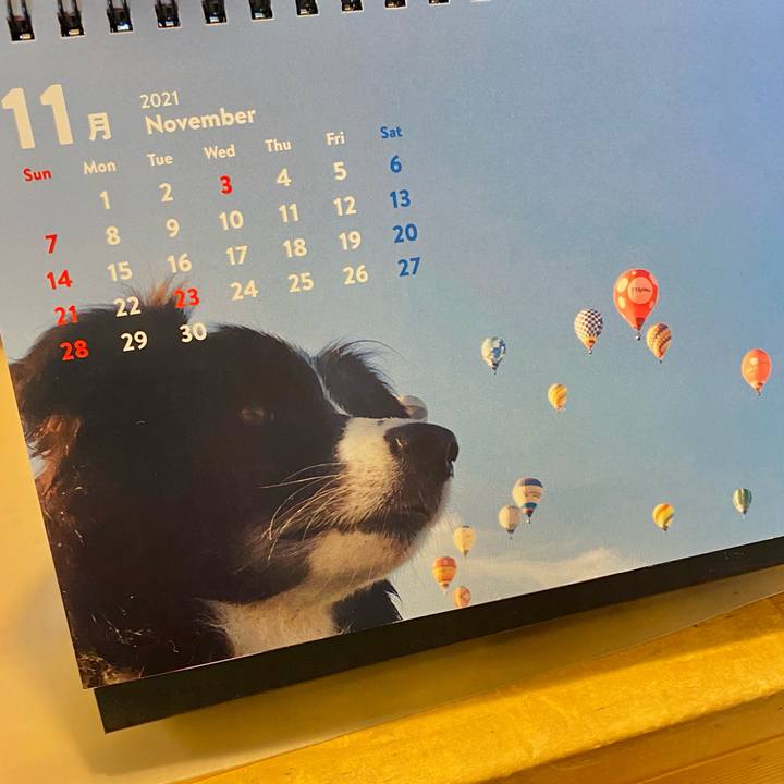 Baa48f8f e234 4363 9b91 8c52ff0bfbe0 1635715353532