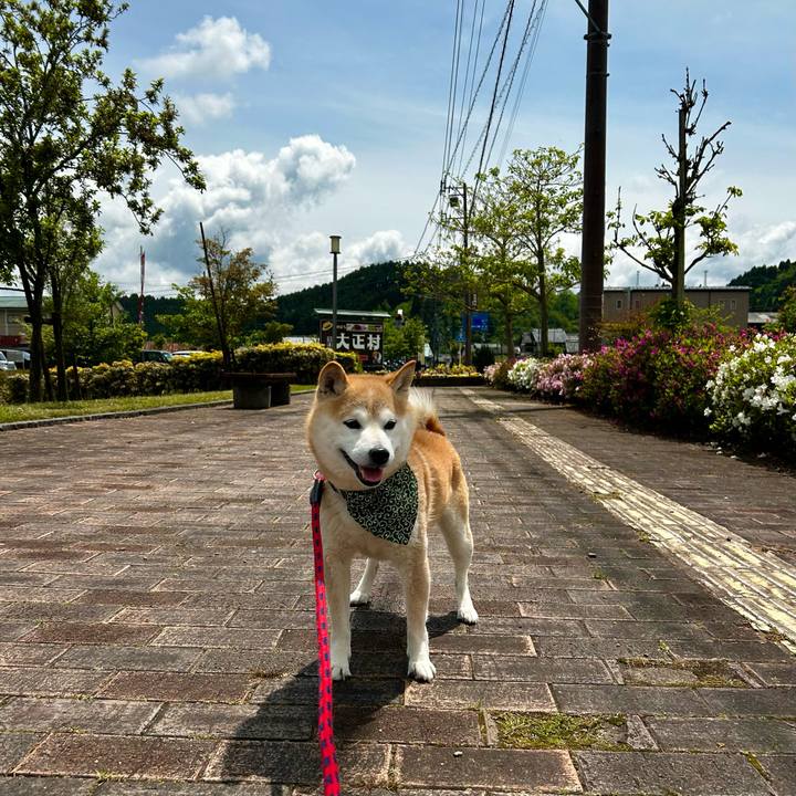 Baa4aa44 db81 4ab4 921a 121a7b884aba 1714645367791