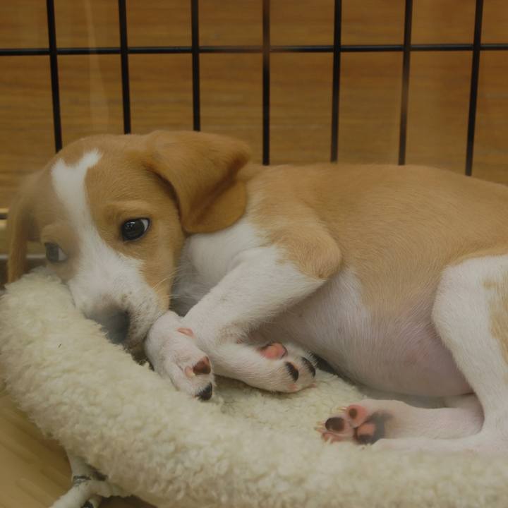 Baa4dd3d ba3b 403b 9b7f c6f9d7d0a51c 1619186845164