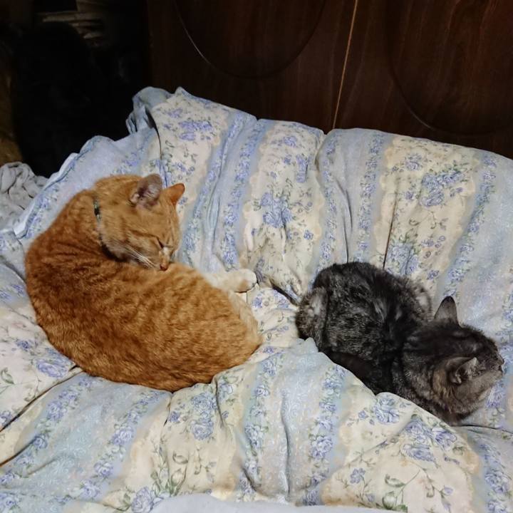 Baa4e906 ca50 4e16 8fa4 23981b211465 1582376100998