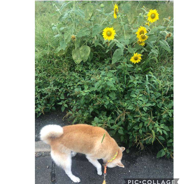 Baa50359 663f 4ae8 9d25 ff6b4451f088 1601106059558