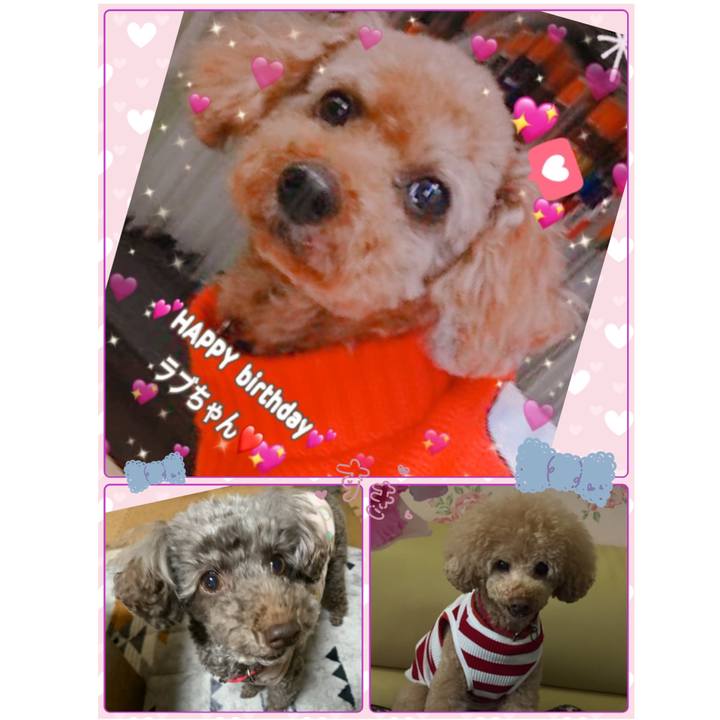 Baa514bb 27c2 4705 89f8 3e3860f8a61b 1607724462040