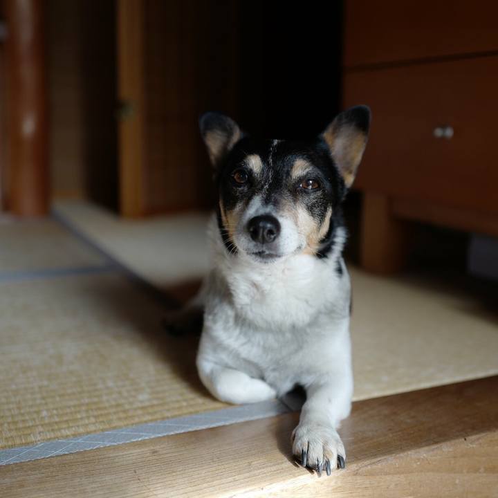 Baa52ee4 42c6 4104 b85e 044e536eba8f 1522298585654