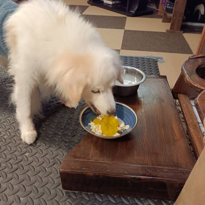 Baa5d521 b798 432b ab95 eabf4f2e6edd 1757067343517