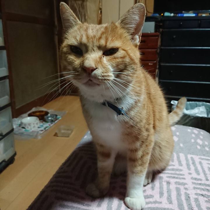 Baa5e0e7 f093 46f0 8f71 9b7e5ebe4cf8 1603914465501