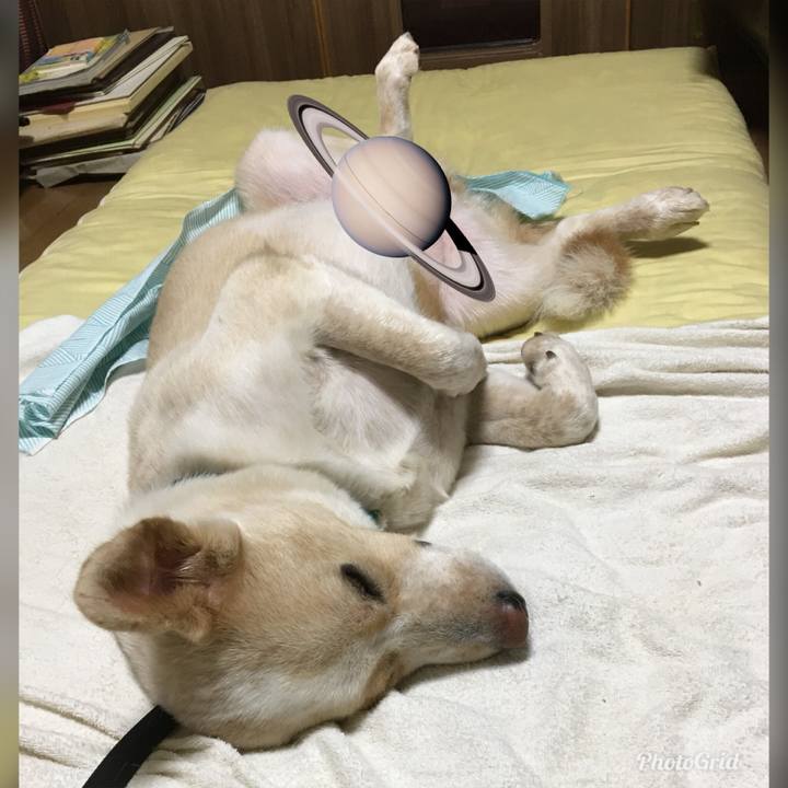 Baa5ef46 9391 4819 ae29 0ef01f5463dc 1530284229553