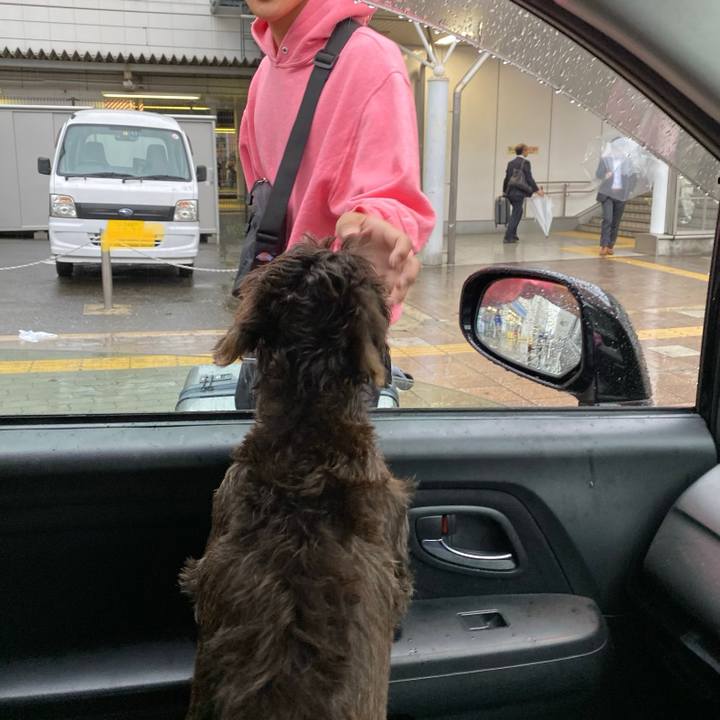 Baa5fe1a f745 4b2c 9e12 9a584ce8485d 1572303476407