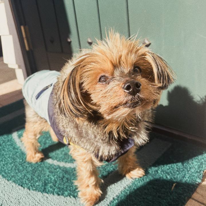 Baa628be 03cb 4015 8691 056053dcca89 1735614228235