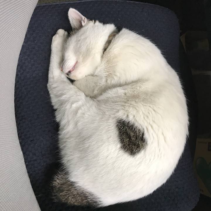 Baa6a44f 6058 4648 9665 0ec95b790f29 1521537474519