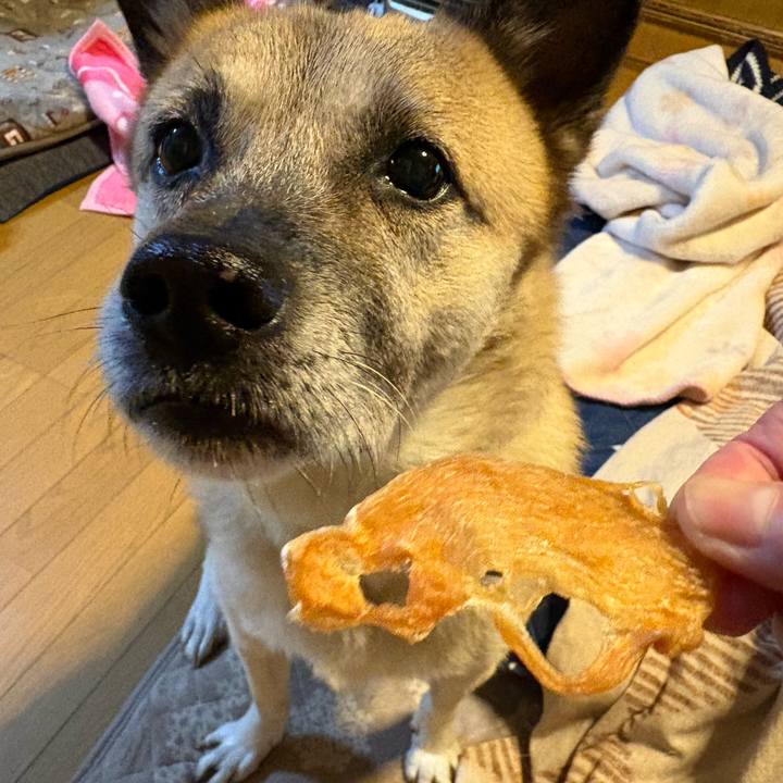 Baa6b33b c2a9 4aef bd3d f414cba01c81 1763383685325